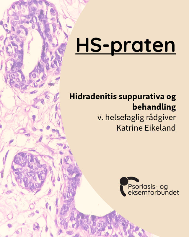 Velkommen til HS-praten