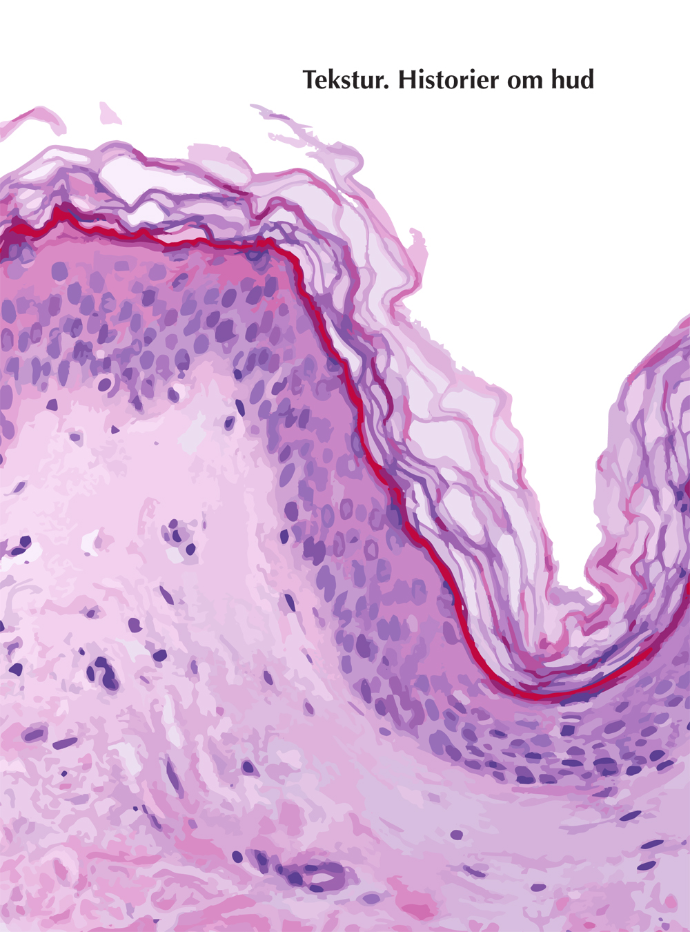 Bok med skjønnlitterære tekster: Tekstur. Historier om hud