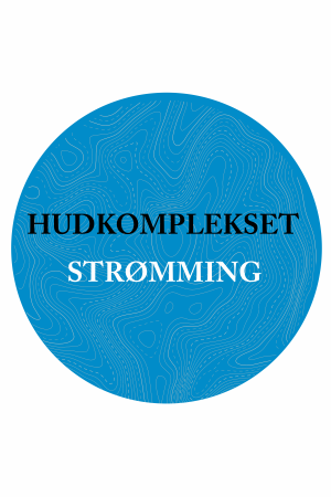 Bilde: Strømming